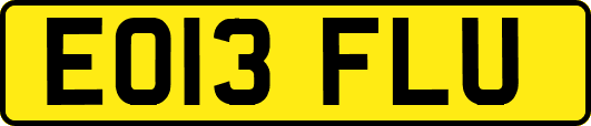 EO13FLU