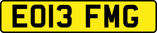EO13FMG