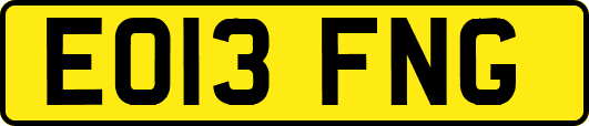 EO13FNG