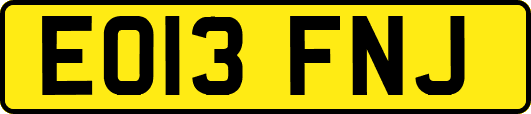EO13FNJ