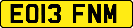 EO13FNM