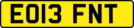 EO13FNT