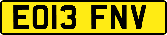 EO13FNV