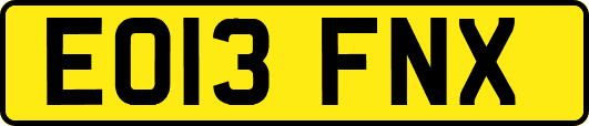 EO13FNX