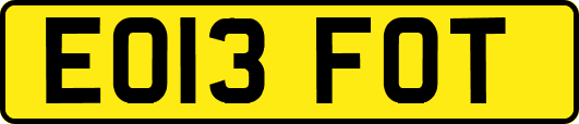 EO13FOT