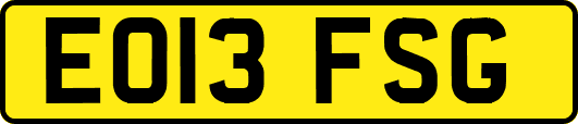 EO13FSG