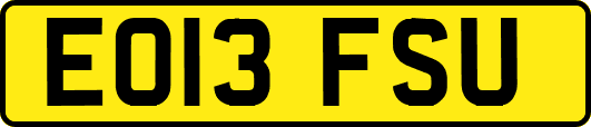 EO13FSU