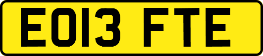 EO13FTE