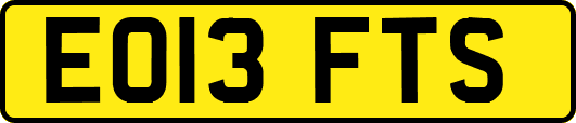 EO13FTS