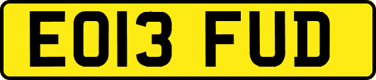 EO13FUD