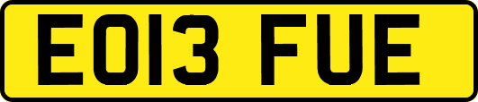 EO13FUE