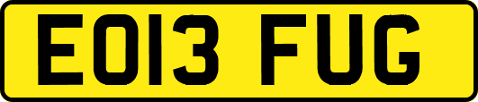 EO13FUG