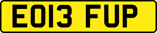 EO13FUP