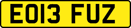 EO13FUZ