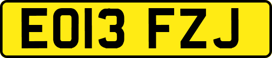 EO13FZJ