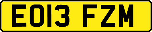 EO13FZM