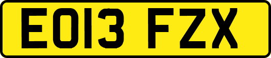 EO13FZX