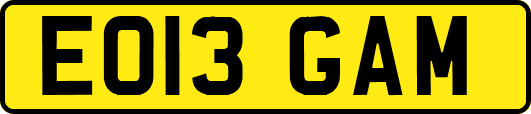 EO13GAM