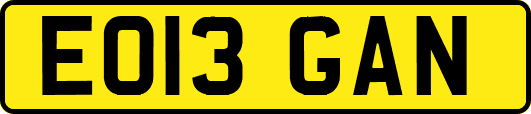 EO13GAN