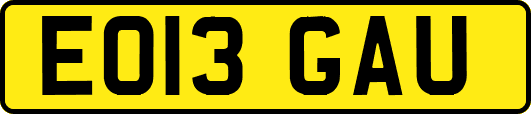 EO13GAU