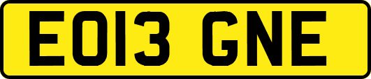 EO13GNE