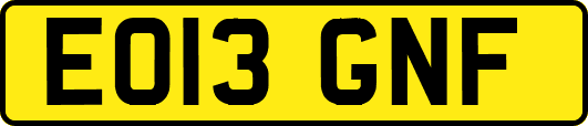 EO13GNF