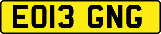 EO13GNG