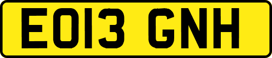 EO13GNH
