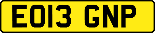 EO13GNP