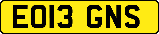 EO13GNS