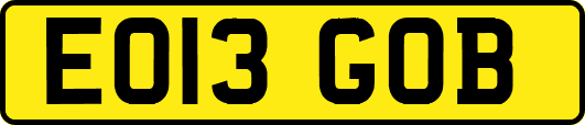 EO13GOB