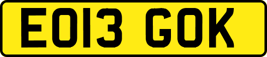 EO13GOK