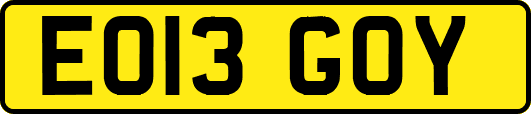 EO13GOY