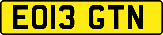 EO13GTN