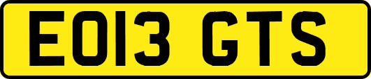EO13GTS