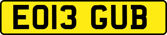 EO13GUB