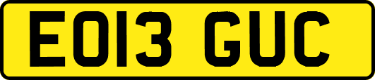 EO13GUC