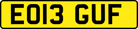 EO13GUF