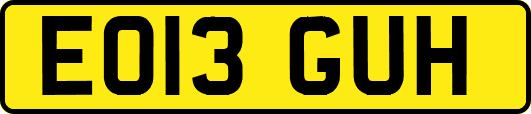 EO13GUH