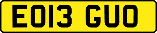 EO13GUO