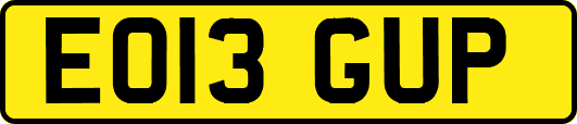 EO13GUP
