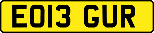 EO13GUR