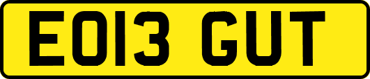 EO13GUT