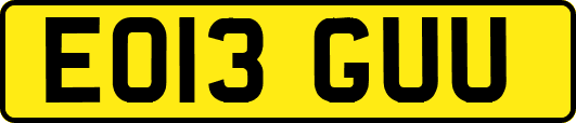 EO13GUU