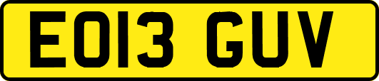 EO13GUV