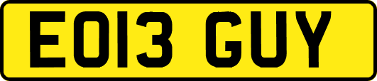 EO13GUY