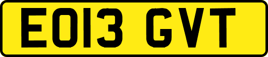 EO13GVT