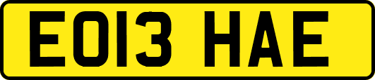 EO13HAE