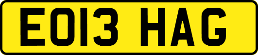 EO13HAG