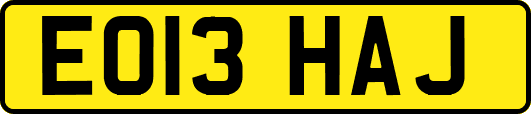 EO13HAJ